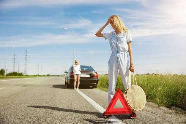 Consejos de seguridad vial en rutas argentinas