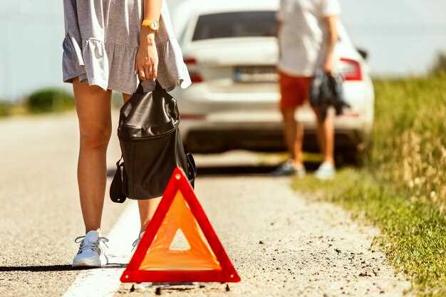 Consejos de seguridad vial en rutas argentinas