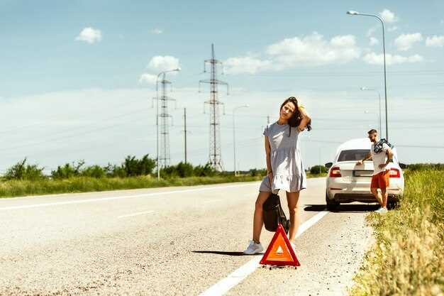 Consejos de seguridad vial en rutas argentinas